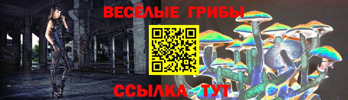 Псилоцибиновые грибы GOLDEN TEACHER  Галлюциногенные грибы мухоморы  Новозыбков  Вход с VPN 